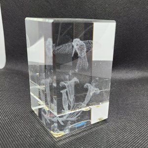 Laser Image In Crystal, 3-D Hummingbird & Flower Paperweight, Jaffa Crystal, NIB